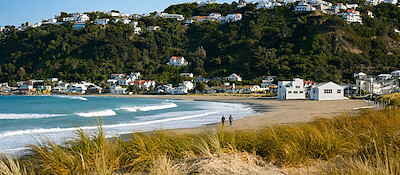 Lyall Bay surf beach — steps from the WorkHub
