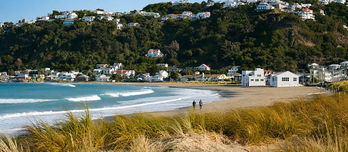 Lyall Bay surf beach Wellington — steps from the WorkHub